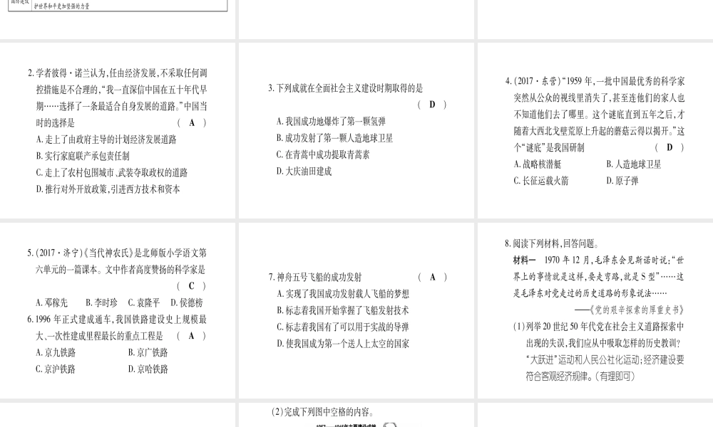 八年级历史下册 专题4 新中国成立以来的经济建设及科技成就习题课件 岳麓版-岳麓版初中八年级下册历史课件