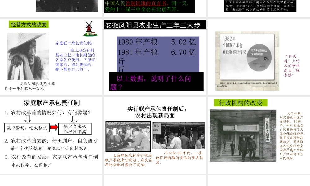 八年级历史下册 第三单元 第8课《城乡改革不断深入》教学课件4 华东师大版-华东师大版初中八年级下册历史课件