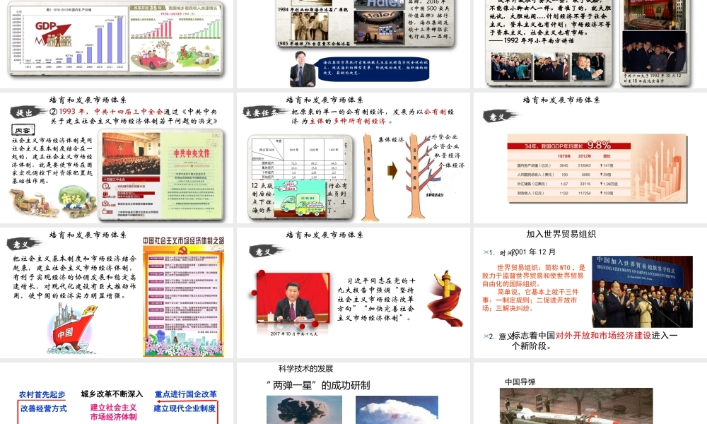 八年级历史下册 第三单元 建设中国特色社会主义 第9课 社会主义市场经济体制的建立与完善课件2 华东师大版-华东师大版初中八年级下册历史课件