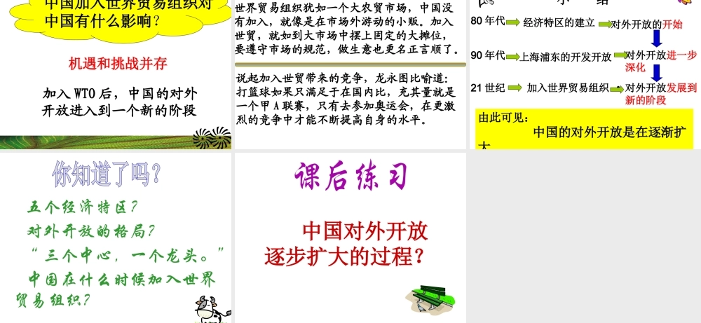 八年级历史下册 第三单元 第9课《对外开放逐步扩大》教学课件1 华东师大版-华东师大级下册历史课件