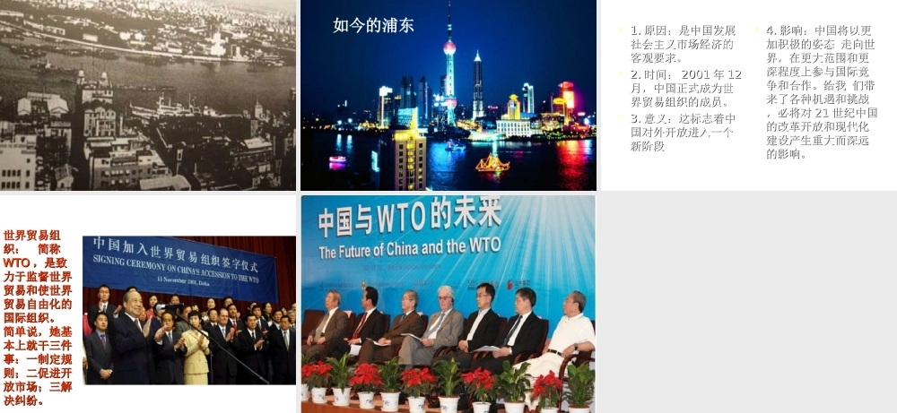 八年级历史下册 第三单元 第9课《对外开放逐步扩大》教学课件2 华东师大版-华东师大版初中八年级下册历史课件