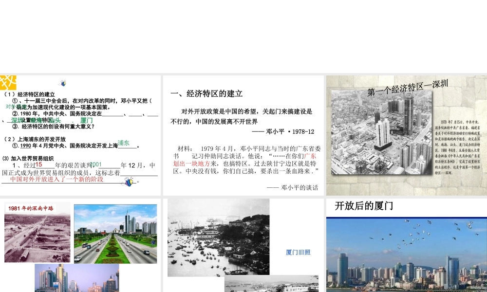 八年级历史下册 第三单元 第9课《对外开放逐步扩大》教学课件3 华东师大版-华东师大级下册历史课件