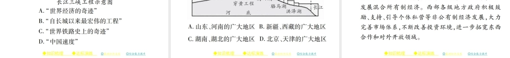 八年级历史下册 第三单元 社会主义现代化建设的新时期 第九课 世界经济的奇迹课件 川教版-川教级下册历史课件