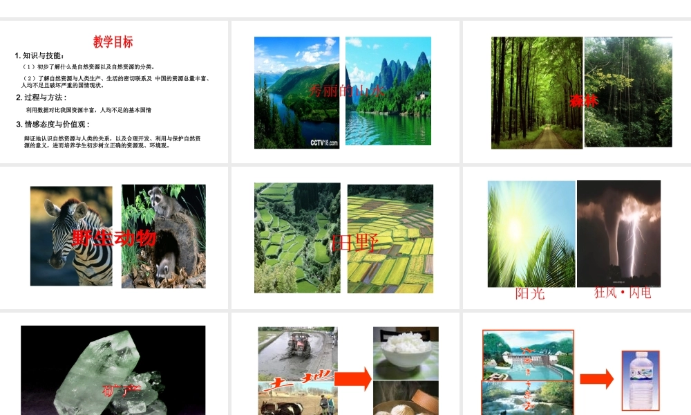 八年级地理上册 3.1 丰富的自然资源课件1 晋教版-人教版初中八年级上册地理课件