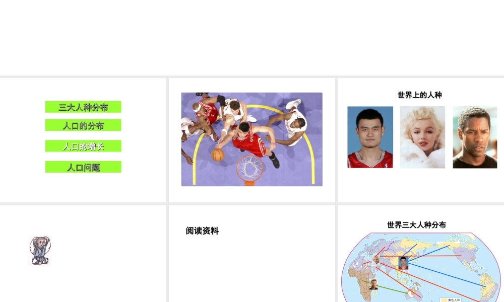 八年级地理上册 3.1 人种和人口课件（2）（新版）中图版