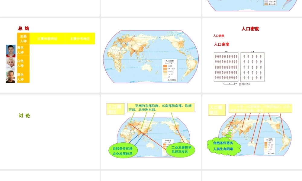 八年级地理上册 3.1 人种和人口课件（2）（新版）中图版