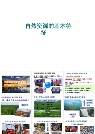八年级地理上册 3.1 自然资源的基本特征课件（2）（新版）新人教版-（新版）新人教版初中八年级上册地理课件