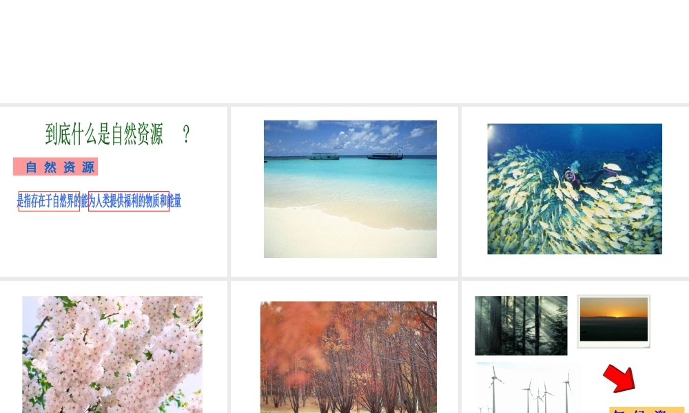 八年级地理上册 3.1 自然资源概况课件 （新版）湘教版-（新版）湘教版初中八年级上册地理课件