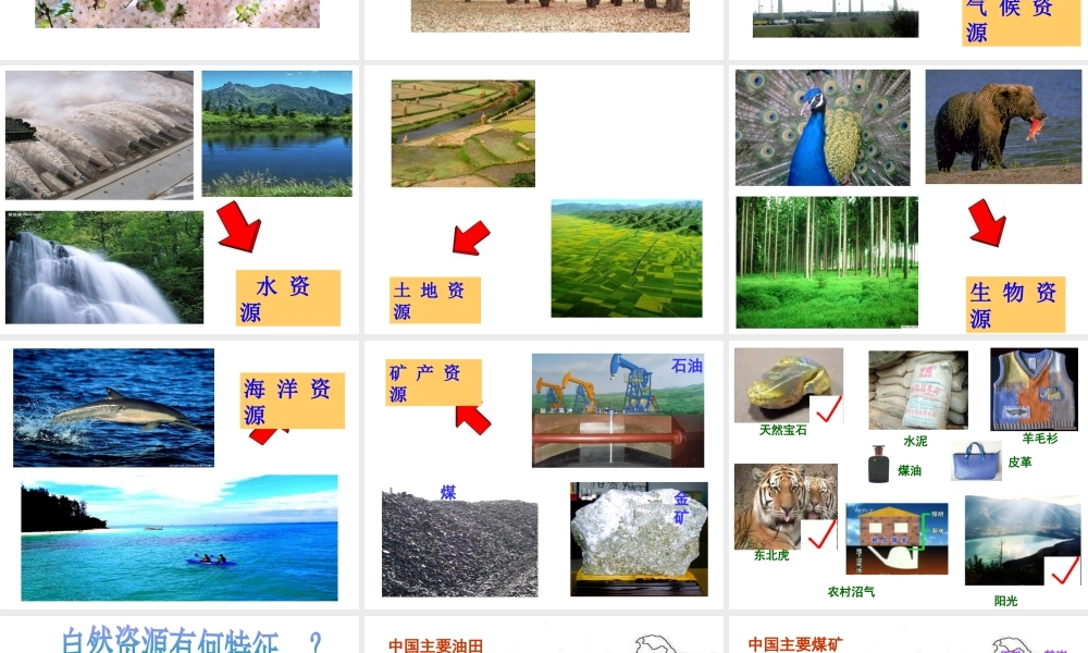 八年级地理上册 3.1 自然资源概况课件 （新版）湘教版-（新版）湘教版初中八年级上册地理课件