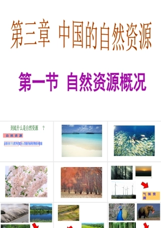 八年级地理上册 3.1 自然资源概况课件 （新版）湘教版-（新版）湘教版初中八年级上册地理课件