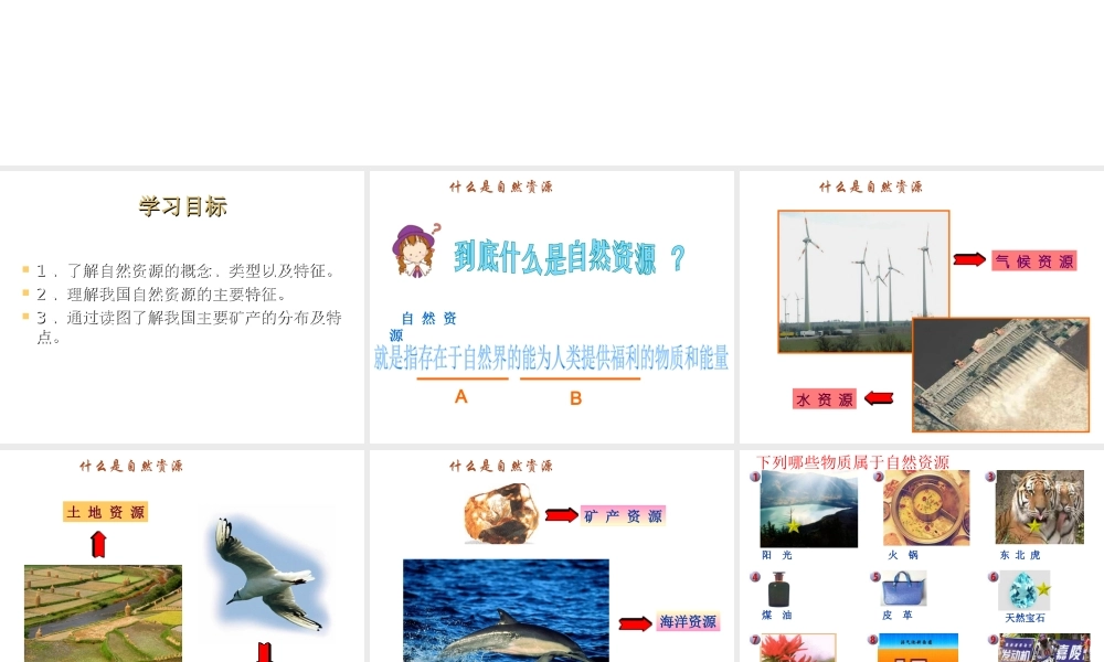 八年级地理上册 3.1 自然自然资源的概况课件 （新版）湘教版-（新版）湘教版初中八年级上册地理课件