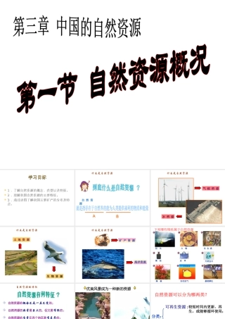 八年级地理上册 3.1 自然自然资源的概况课件 （新版）湘教版-（新版）湘教版初中八年级上册地理课件