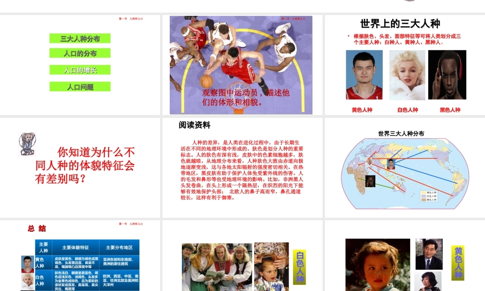 八年级地理上册 3.1《人种和人口》课件4 中图版-中图版初中八年级上册地理课件