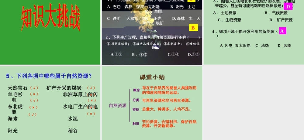 八年级地理上册 3.1《自然资源概况》课件1 （新版）湘教版-（新版）湘教版初中八年级上册地理课件