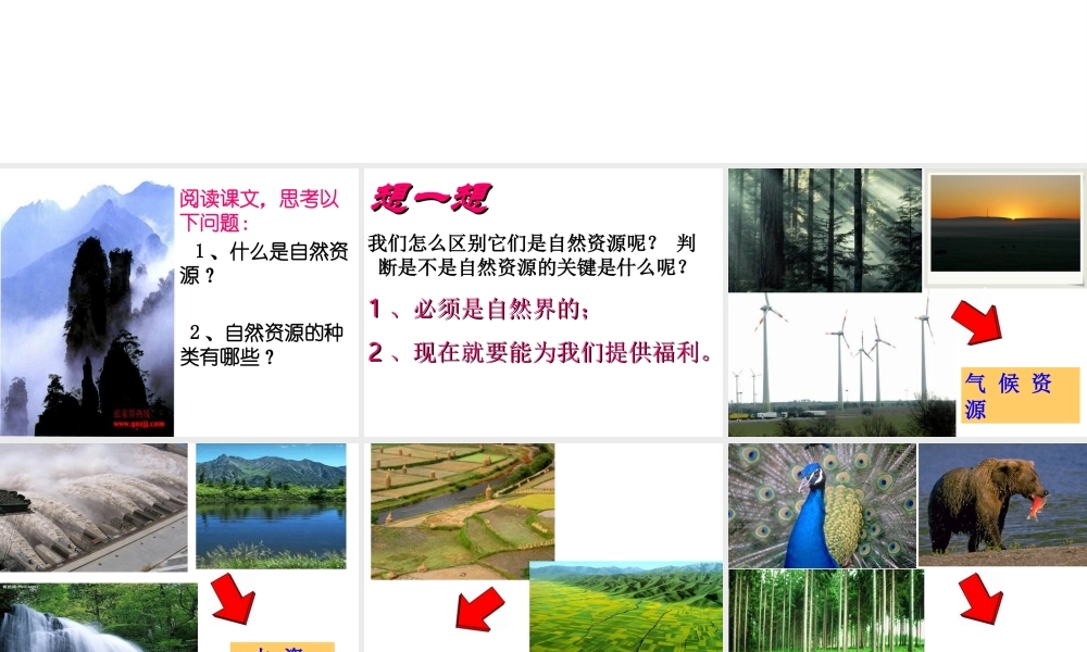 八年级地理上册 3.1《自然资源概况》课件2 （新版）湘教版-（新版）湘教版初中八年级上册地理课件