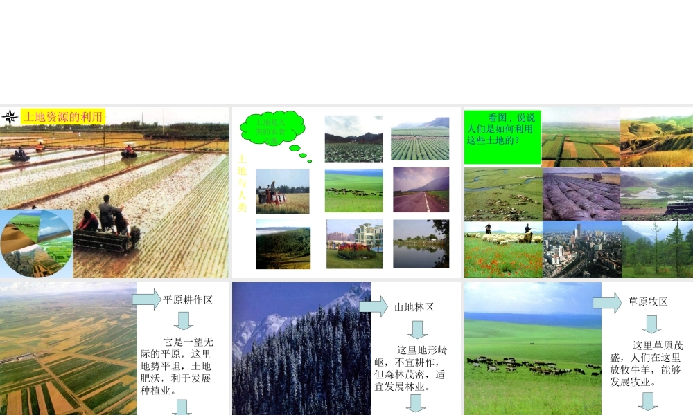 八年级地理上册 3.2 土地资源课件 新人教版-新人教版初中八年级上册地理课件