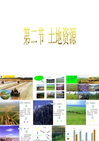 八年级地理上册 3.2 土地资源课件 新人教版-新人教版初中八年级上册地理课件