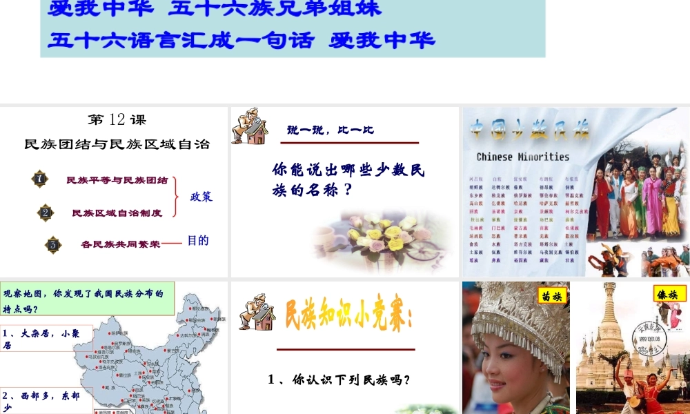 八年级历史下册 第四单元 第12课《民族团结与民族区域自治》课件3 华东师大版-华东师大版初中八年级下册历史课件