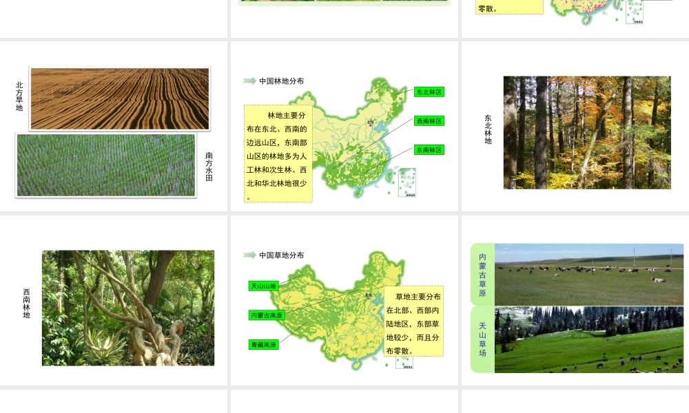 八年级地理上册 3.2 中国的土地资源（第2课时）课件 （新版）湘教版-（新版）湘教版初中八年级上册地理课件