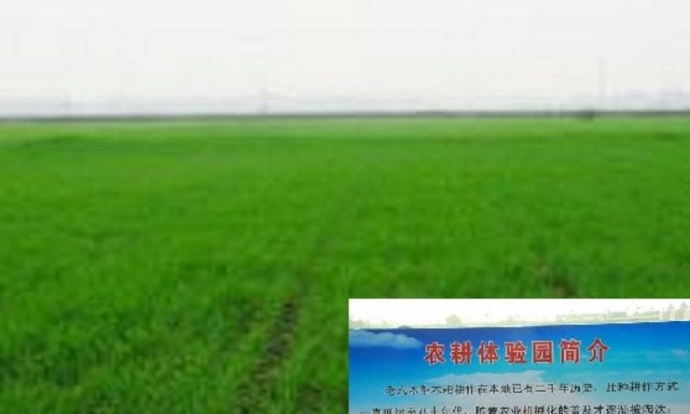 八年级地理上册 第3章 第1节 合理利用土地资源课件 （新版）商务星球版