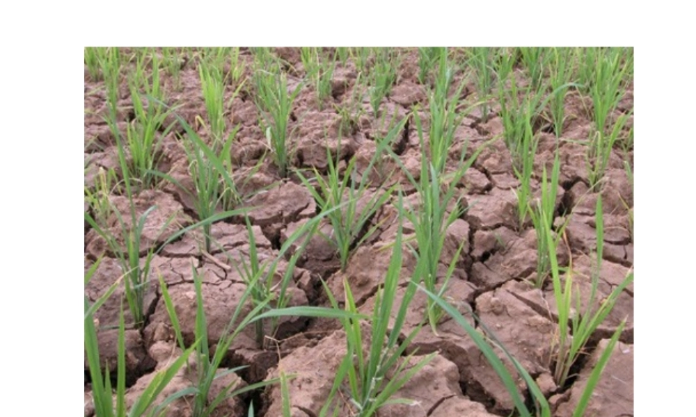 八年级地理上册 3.3 中国的水资源课件 湘教版-湘教版初中八年级上册地理课件