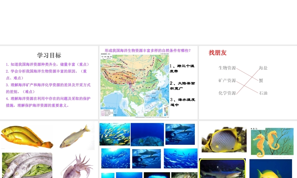 八年级地理上册 3.4 中国的海洋资源课件 （新版）湘教版