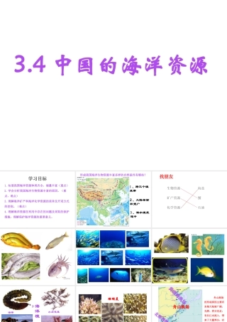 八年级地理上册 3.4 中国的海洋资源课件 （新版）湘教版