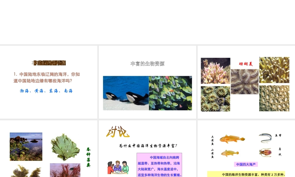 八年级地理上册 3.4 中国的海洋资源课件 湘教版-湘教版初中八年级上册地理课件