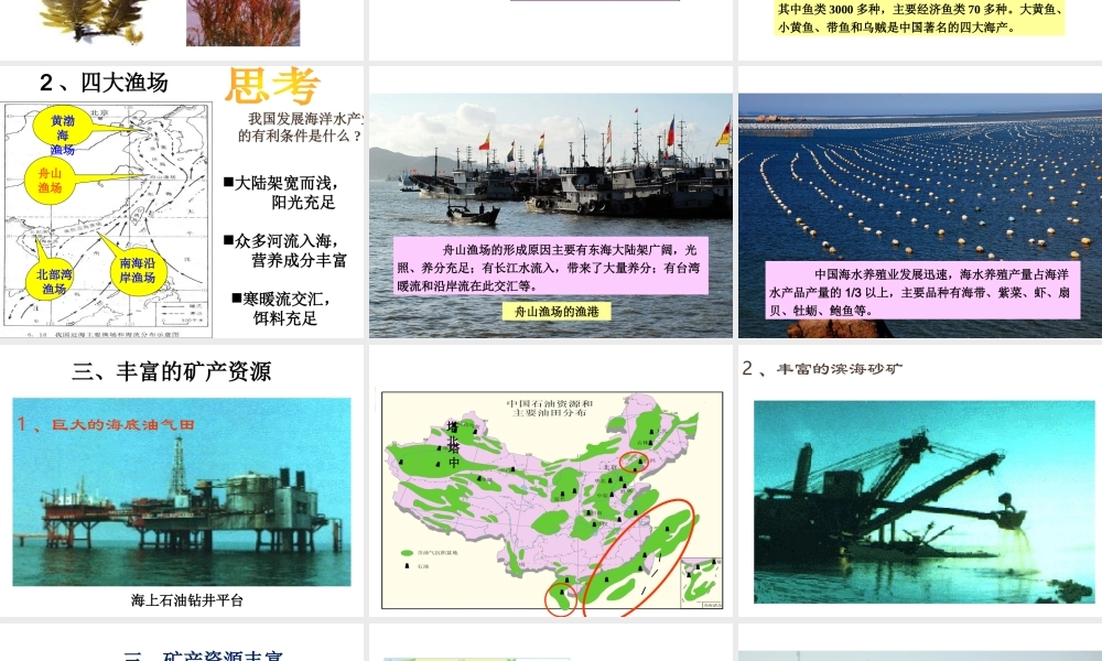 八年级地理上册 3.4 中国的海洋资源课件 湘教版-湘教版初中八年级上册地理课件