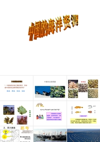 八年级地理上册 3.4 中国的海洋资源课件 湘教版-湘教版初中八年级上册地理课件
