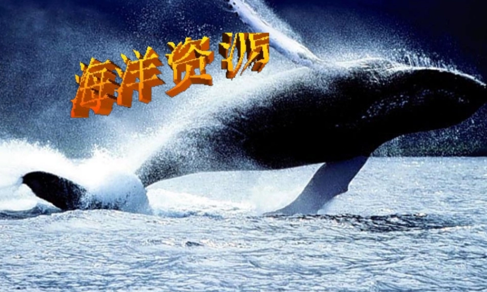 八年级地理上册 3.4《中国的海洋资源》课件3 （新版）湘教版-（新版）湘教版初中八年级上册地理课件