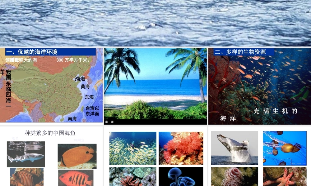 八年级地理上册 3.4《中国的海洋资源》课件3 （新版）湘教版-（新版）湘教版初中八年级上册地理课件