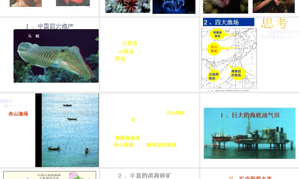 八年级地理上册 3.4《中国的海洋资源》课件3 （新版）湘教版-（新版）湘教版初中八年级上册地理课件