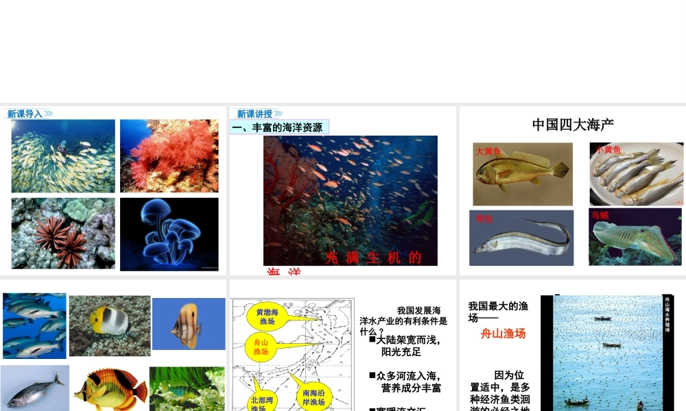 八年级地理上册 3.4《中国的海洋资源》课件1 （新版）湘教版-（新版）湘教版初中八年级上册地理课件