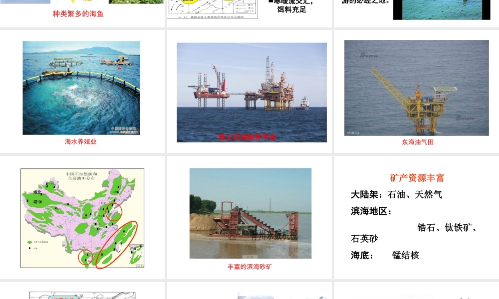 八年级地理上册 3.4《中国的海洋资源》课件1 （新版）湘教版-（新版）湘教版初中八年级上册地理课件