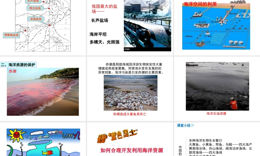 八年级地理上册 3.4《中国的海洋资源》课件1 （新版）湘教版-（新版）湘教版初中八年级上册地理课件