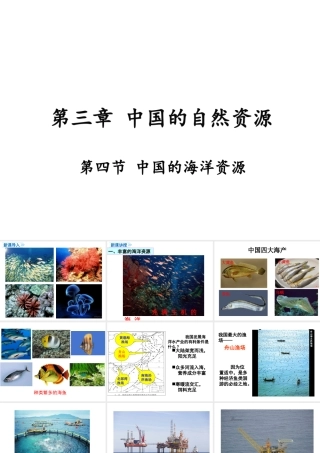 八年级地理上册 3.4《中国的海洋资源》课件1 （新版）湘教版-（新版）湘教版初中八年级上册地理课件