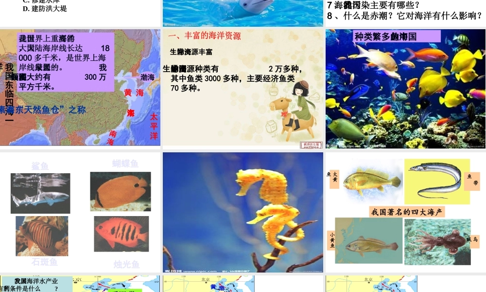 八年级地理上册 3.4《中国的海洋资源》课件4 （新版）湘教版-（新版）湘教版初中八年级上册地理课件