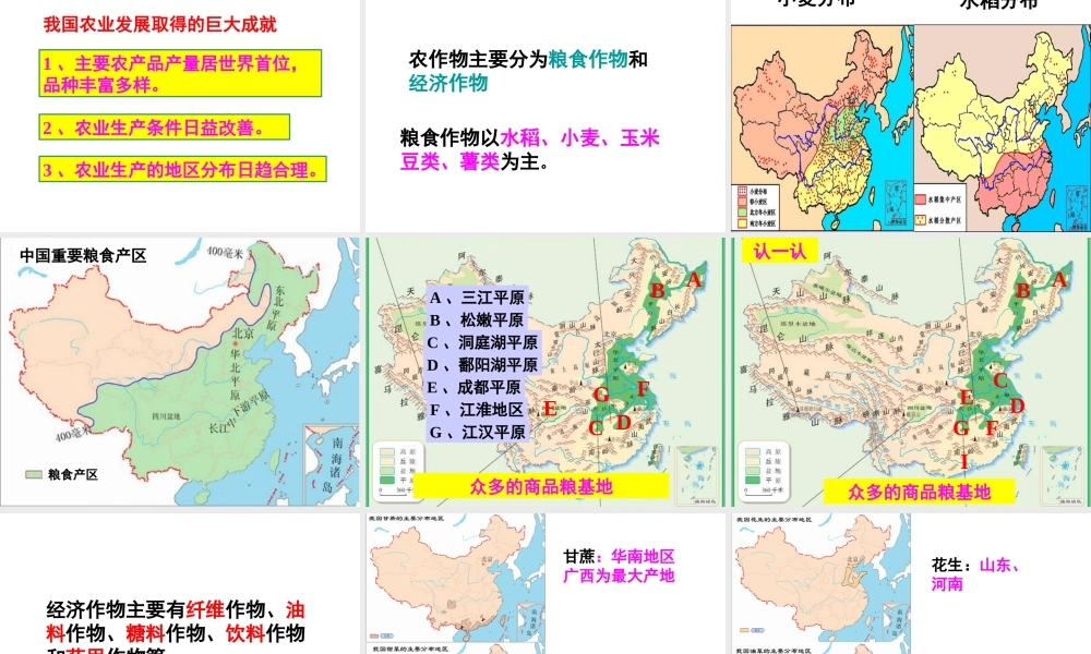 八年级地理上册 第4章 第1节 农业（第1课时）课件 （新版）湘教版-（新版）湘教版初中八年级上册地理课件