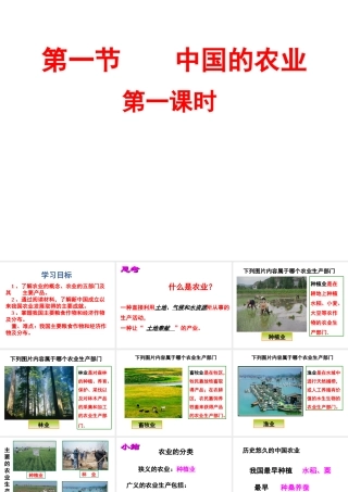 八年级地理上册 第4章 第1节 农业（第1课时）课件 （新版）湘教版-（新版）湘教版初中八年级上册地理课件