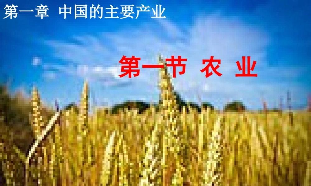 八年级地理上册 第4章 第1节 农业课件 （新版）湘教版-（新版）湘教版初中八年级上册地理课件