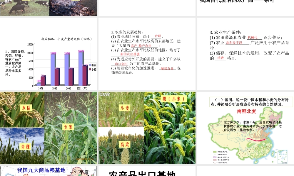 八年级地理上册 第4章 第1节 农业课件 （新版）湘教版-（新版）湘教版初中八年级上册地理课件
