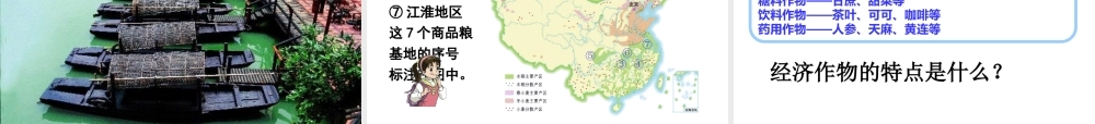 八年级地理上册 第4章 第1节 农业课件 （新版）湘教版-（新版）湘教版初中八年级上册地理课件