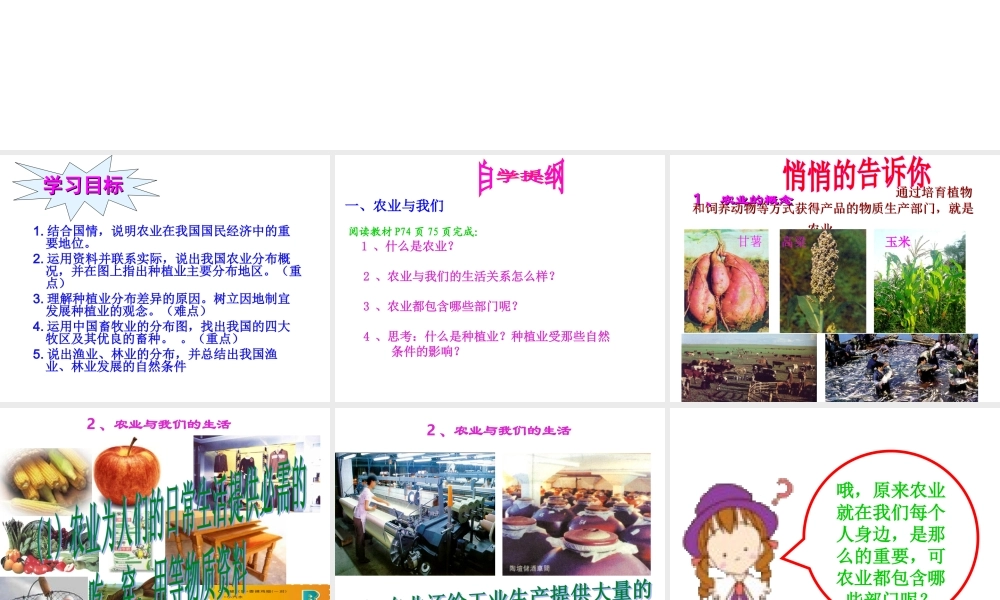 八年级地理上册 第4章 第1节 因地制宜发展农业（第1课时）课件 （新版）商务星球版