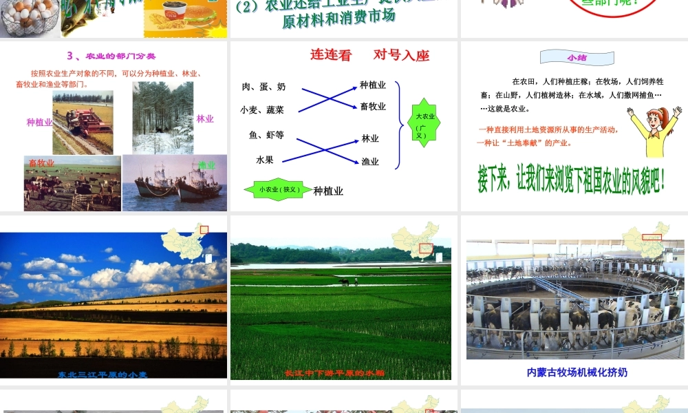 八年级地理上册 第4章 第1节 因地制宜发展农业（第1课时）课件 （新版）商务星球版