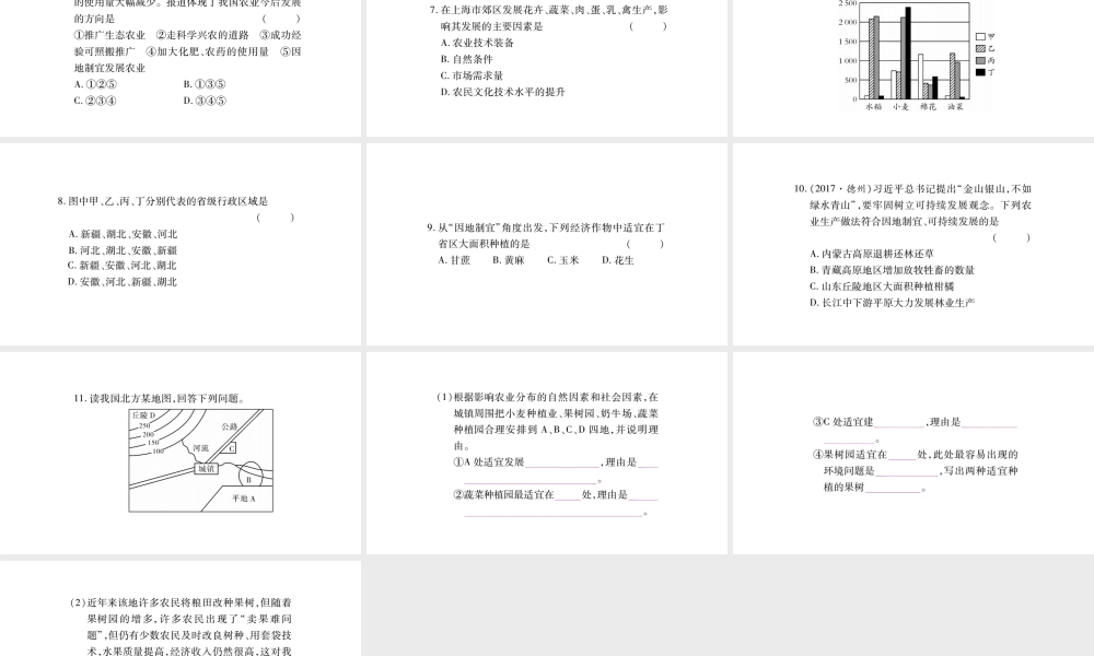八年级地理上册 第4章 第2节 农业（第2课时 发展农业要因地制宜，走科技强农之路）习题课件 （新版）新人教版-（新版）新人教版初中八年级上册地理课件