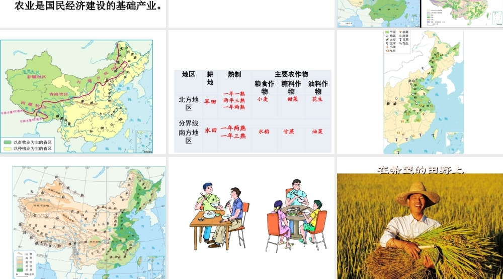 八年级地理上册 第4章 第2节 农业课件 （新版）新人教版