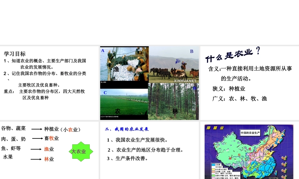 八年级地理上册 4.1 农业课件 （新版）湘教版-（新版）湘教版初中八年级上册地理课件