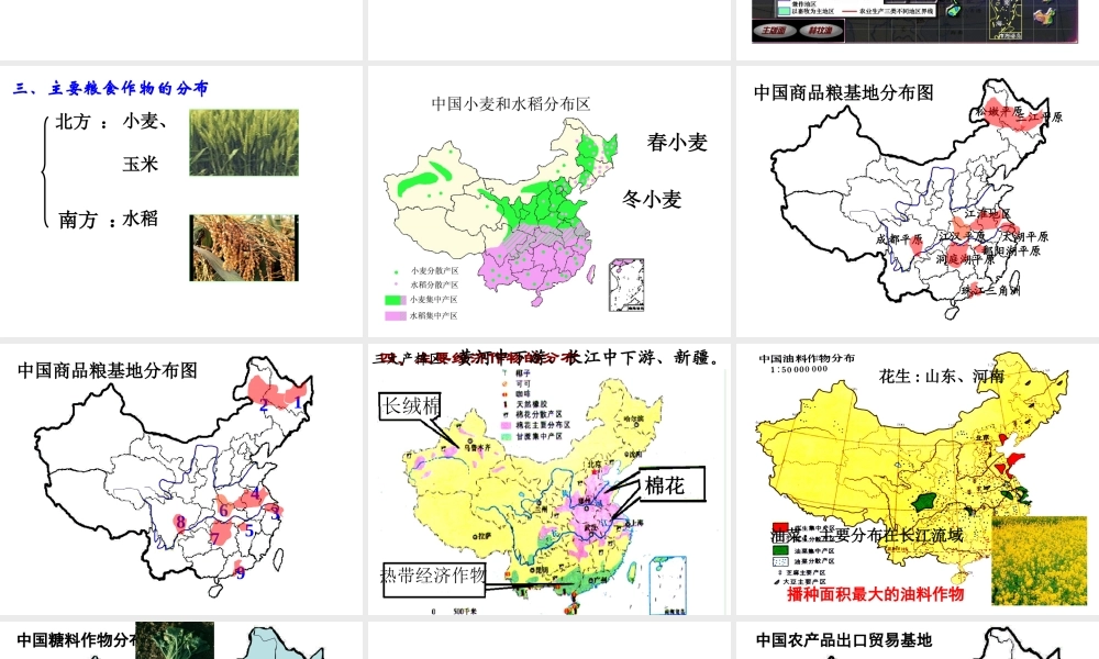 八年级地理上册 4.1 农业课件 （新版）湘教版-（新版）湘教版初中八年级上册地理课件