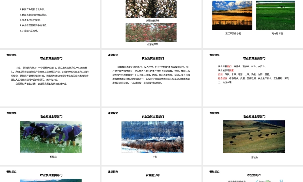 八年级地理上册 4.1 农业课件 （新版）粤教版-（新版）粤教版初中八年级上册地理课件